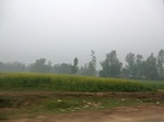 42064CIMG9279.JPG