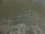 58589CIMG3039.JPG