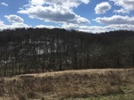2018-03-24_21-23-23_22936BD9-0004-4F00-87B3-E7F0E2038F90.jpg