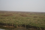 4115IMG_8750.JPG