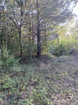 2020-10-01_09-09-56_9C21F8CF-4945-42A6-BC92-009D390B3CC8.jpg
