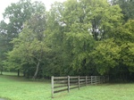 2012-10-05_19-36-53_TN-MT-77-3.JPG