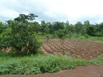 20990P1020859.JPG