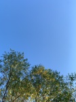 2020-08-27_08-59-26_2020-8-22-8-9-9.jpg