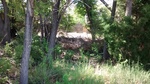 2017-06-05_15-53-43_GameTrail_COPU103_052717_South.jpg