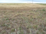 39200FREE20110810E.JPG
