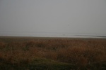 4529IMG_8883.JPG