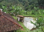 13679IMG_3940.JPG
