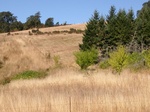 2012-09-20_21-40-58_2012-09-01_Erratic_RockW.JPG