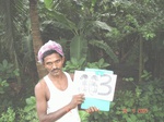 132950363a-irrigated-supplemental-plantation-banana-dominant-coconut.gif