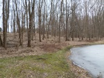 2017-03-02_15-31-59_Feb17-226-MI.jpg