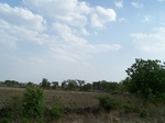 1693602052008(95).JPG
