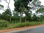 18297P1000133.JPG