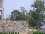 1548R0015223_tag.jpg