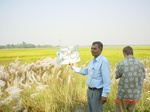 6677gt125-cropland-1.jpg