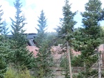 38223CIMG1512.JPG