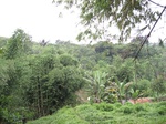 15303IMG_4140.JPG