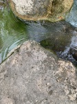 2020-11-10_19-55-29_ground img.jpg