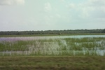 2022-05-26_14-50-53_87F212D5-AFFB-41E0-B072-B39AC6CE55A3.jpeg