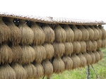 15863IMG_4405.JPG