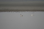 4139IMG_8776.JPG