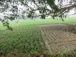 40206CIMG9103.JPG