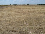 39297TIPT20110719S.JPG