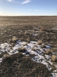 2018-01-02_16-49-42_A460C0BC-0955-465B-930A-66EC39BF02B7.jpg
