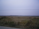 3313R0017347.JPG