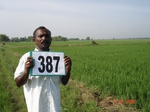 133730387b-irrigated-supplemental-lift-irrigation-rice.gif
