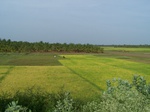 17550100_2811.JPG