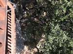 2018-09-05_14-03-20_C9DEC1C3-FF14-4043-8FF7-16FEAF67E16F.jpg
