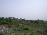 3777RIMG0081.JPG