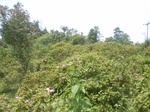 2012-09-08_20-00-46_RIMG0081.JPG