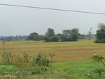 482102052008(19).JPG