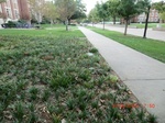 2012-10-02_09-57-50_CIMG6016.JPG