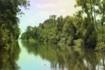 2022-05-26_14-36-46_12A023D9-0364-40EF-BD40-F253F11B9ECC.jpeg