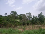3757RIMG0061.JPG