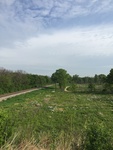 2017-05-28_13-08-14_C4A7BAD8-6A14-49E1-AE7E-8C5FC511D456.jpg