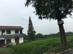 2017-09-10_08-39-47_11AF8E87-A1AC-4828-A0CB-C10C9F7103CB.jpg