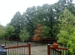 2012-09-02_12-47-54_Sep pics 024.JPG