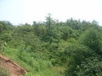 2012-09-08_18-23-58_RIMG0112.JPG