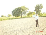 6540gt049-cropland-1.jpg