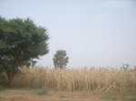9167RIMG0248.JPG
