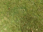 2017-09-06_16-08-53_4253N-7563W-down-20170902.jpg