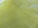 2012-09-21_14-26-21_CIMG0023.JPG