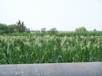 1769222042008(71).JPG