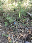 2012-09-24_10-40-24_DSC03131.JPG