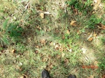2012-10-02_21-26-36_CIMG0130.JPG