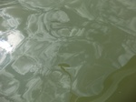 58271CIMG2718.JPG